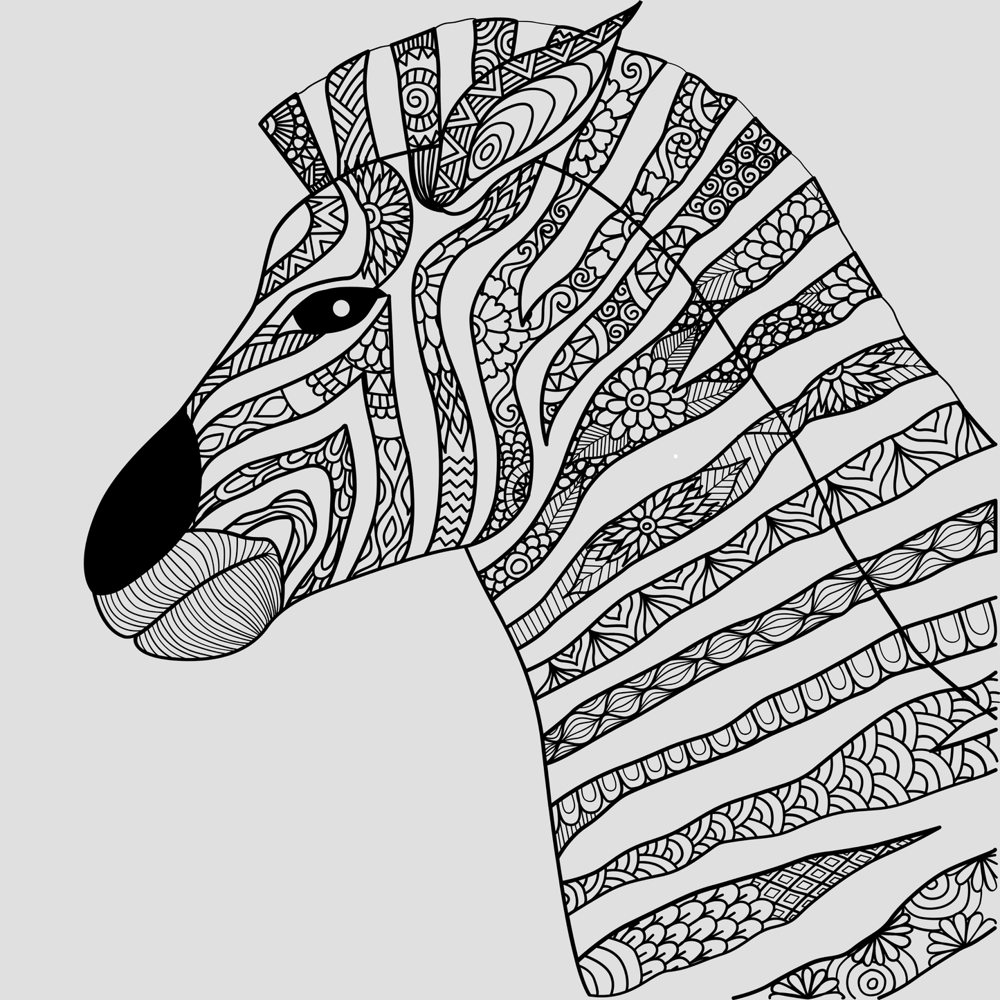 Mandala Zebra Unisex Oversized Tee